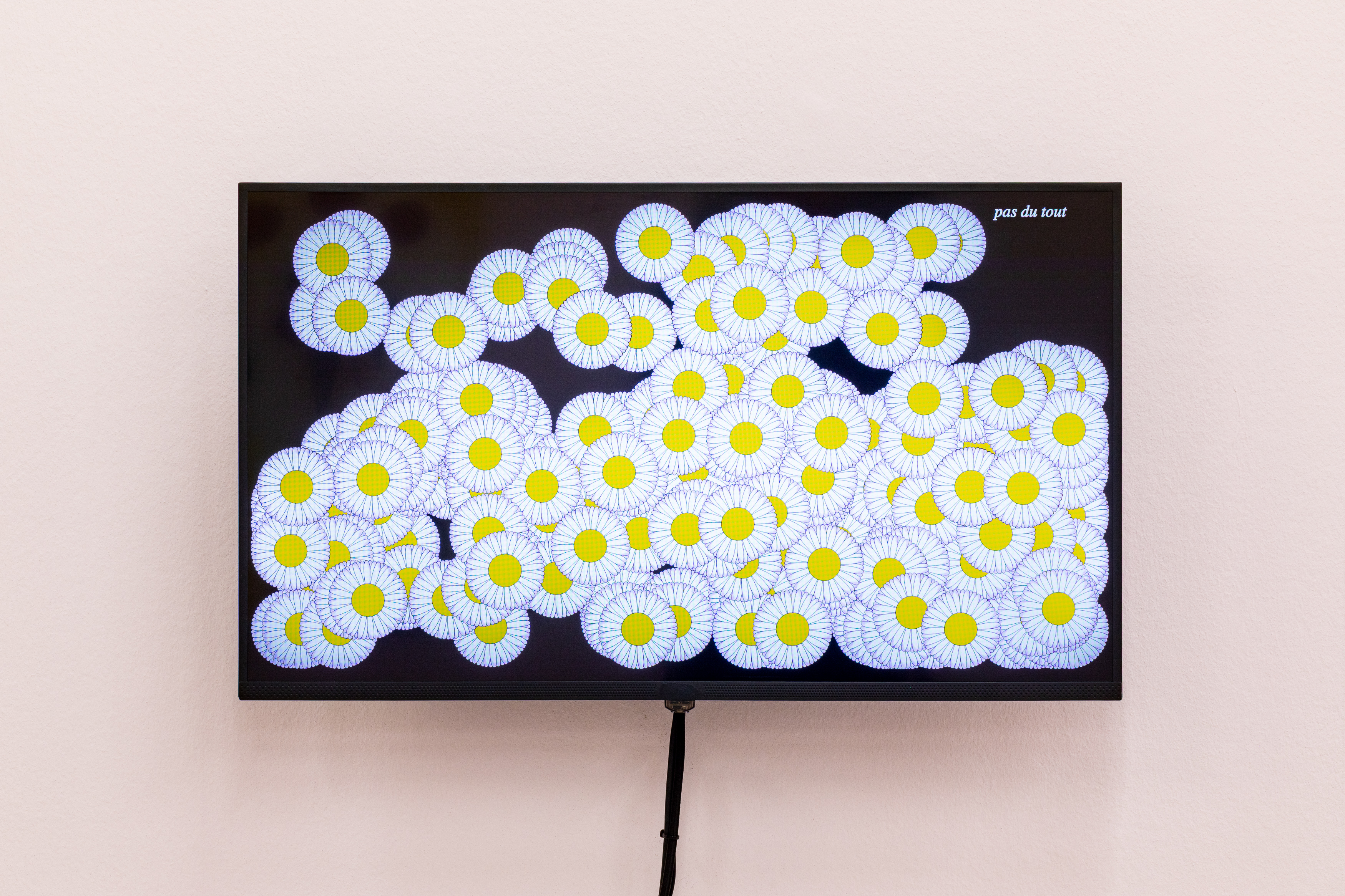 Amanda E. Metzger «Effeuiller Les Marguerites», 2025 Foto : Kilian Bannwart, 2025 - ein Bildschirm an der Wand zeigt ein Muster aus grafischen Gänseblumen