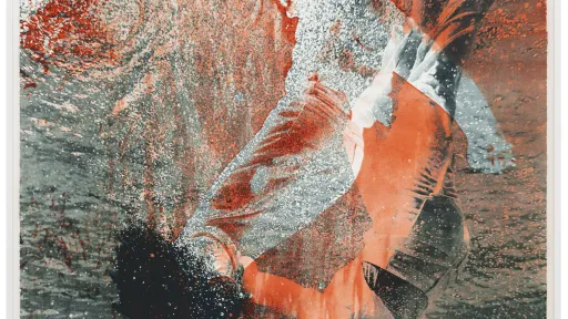 Eine Darstellung einer Person im Wasser in zwei Farbtönen